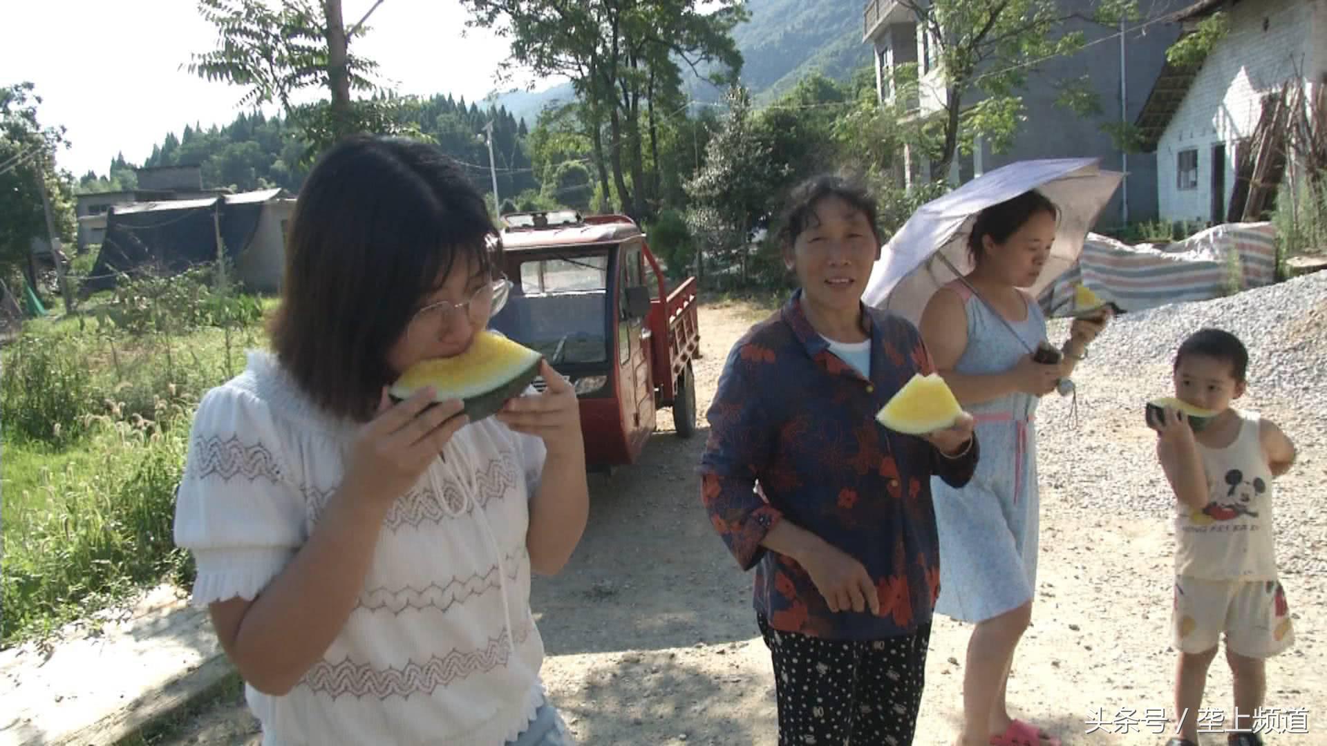 黄瓤西瓜出售哪里比较多,官庄湖黄瓤西瓜多少钱一斤