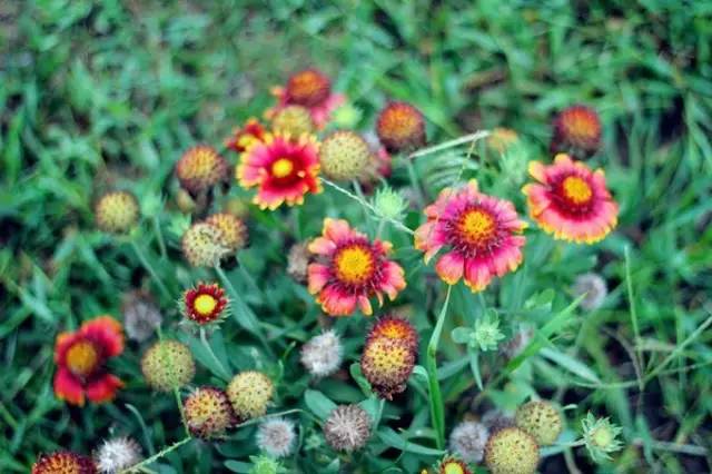 不用签证就能去的海岛,不需要签证的海岛游