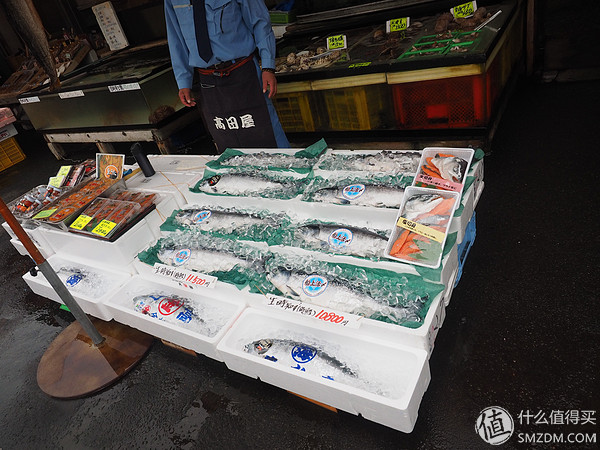 北海道札幌的散步之旅,日本北海道小樽旅游攻略