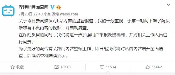 二次元的乱象有哪些,国内爆火的二次元现在怎么样了