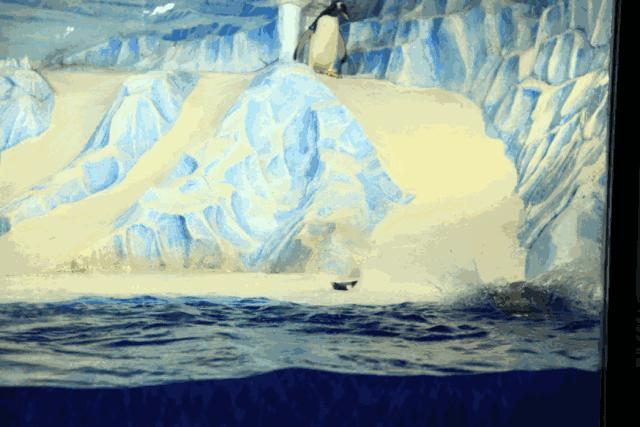 哈尔滨之夏游玩攻略,迷人的哈尔滨之夏音乐会