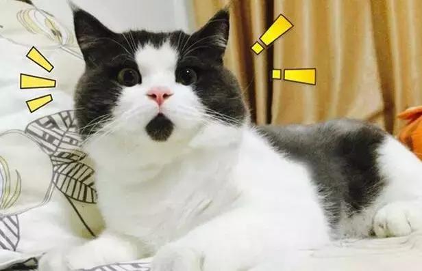 山寨微信转发语音有危险吗,山寨微信语音是骗人的吗