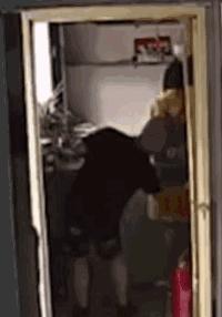 注意!这群人靠*拍偷**女生裙底月入过万!