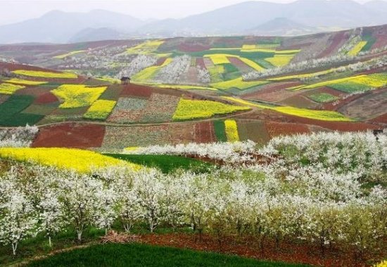 美丽库尔勒美图,库尔勒旅游景点