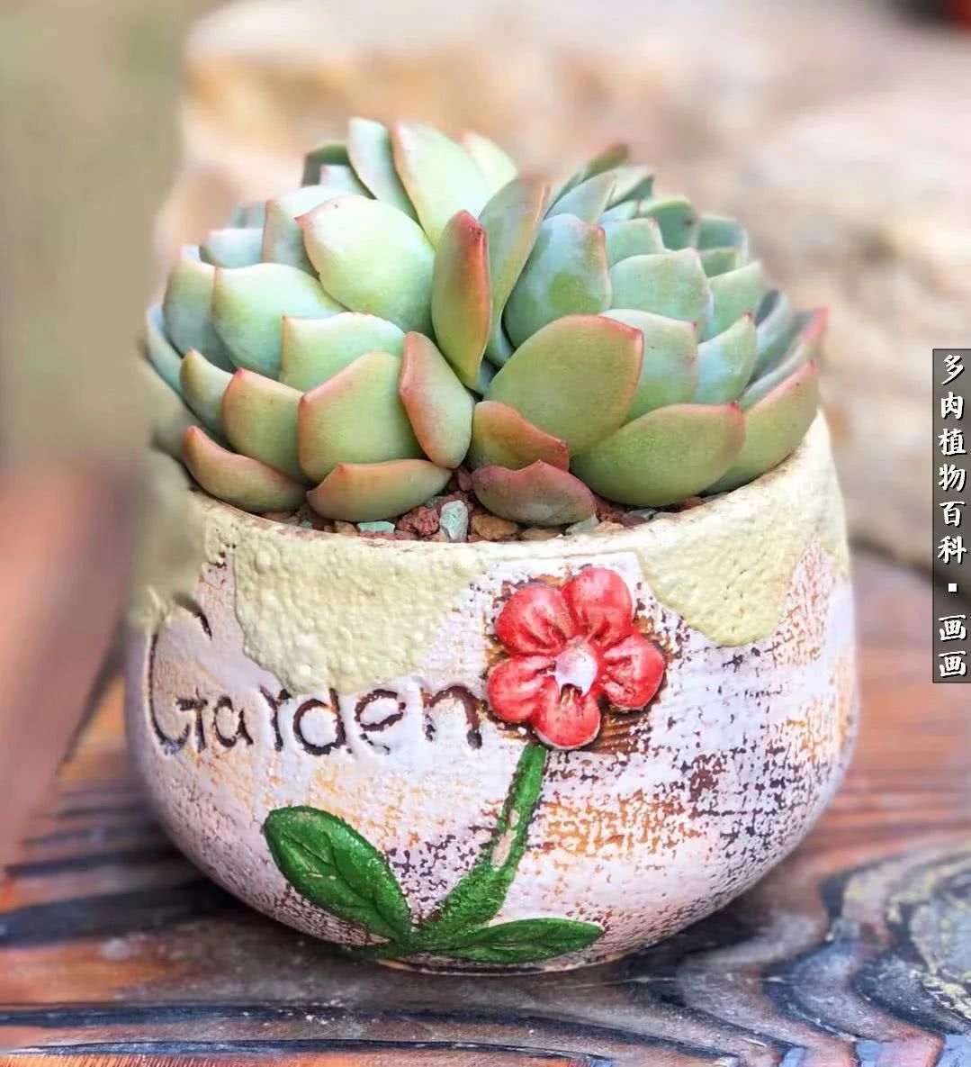 鍒氬ソ閬囪浣犵編濂虫埛澶栫増,鍒氬ソ閬囪澶氳倝