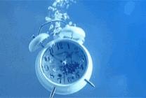 婚恋网相亲平台是否靠谱,婚恋相亲网站哪个真实靠谱