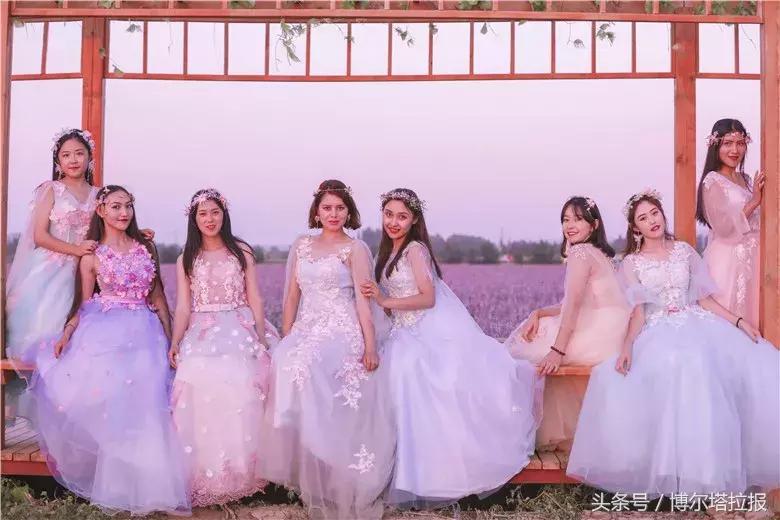 投票啦！快来支持你喜欢的紫苏仙子吧！