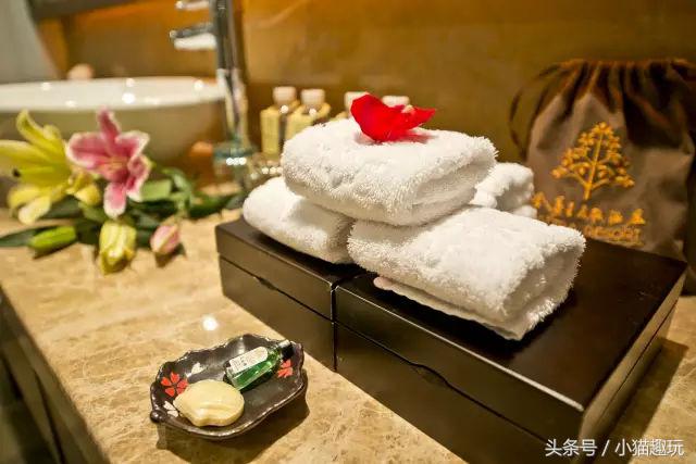 半山旅游酒店,半山温泉酒店预订