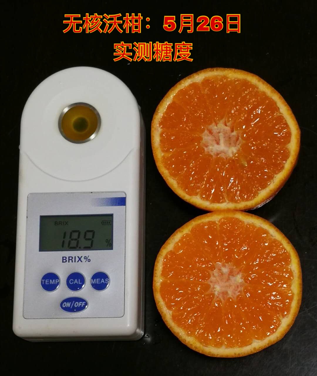 如何经营水果产业,怎么样才能把水果行业做大做强