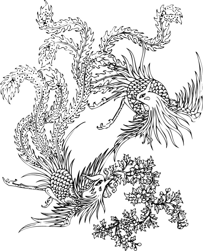 凤凰白描线稿图,百鸟之王凤凰图片唯美