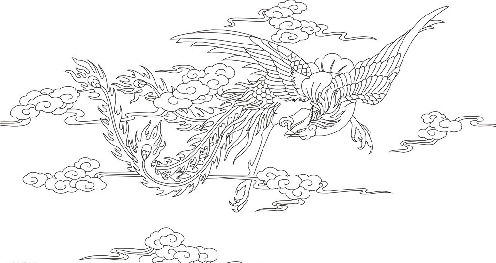 凤凰白描线稿图,百鸟之王凤凰图片唯美