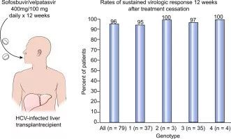 索非布韦和维帕他韦,索磷布韦维帕他韦和利巴韦林