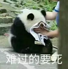 对不起，我又成了拖油瓶了