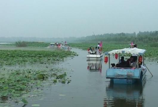 榫欐箹澶忓ぉ鏃呮父鏀荤暐,榫欐箹鑽疯姳鏃呮父鏀荤暐