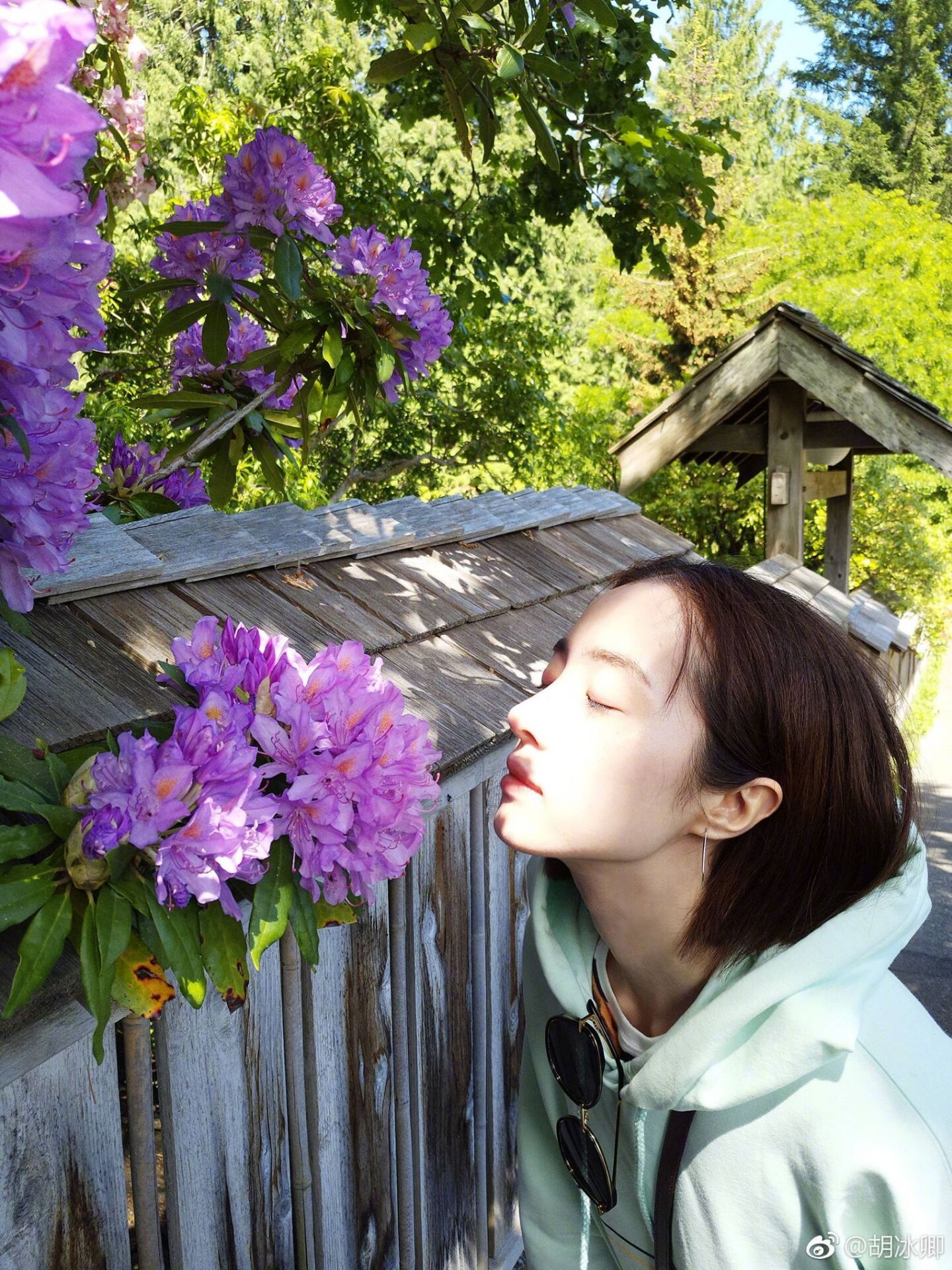 清冷美人胡冰卿,胡冰卿唯美句子