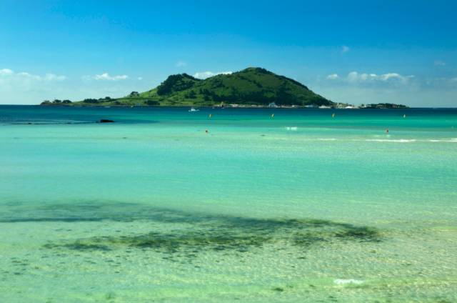 济州柑橘马拉松,济州岛柑橘马拉松