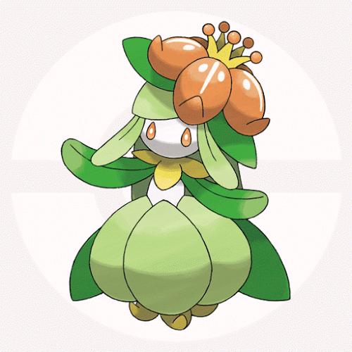 都有哪些宠物小精灵,十大最火的宠物小精灵