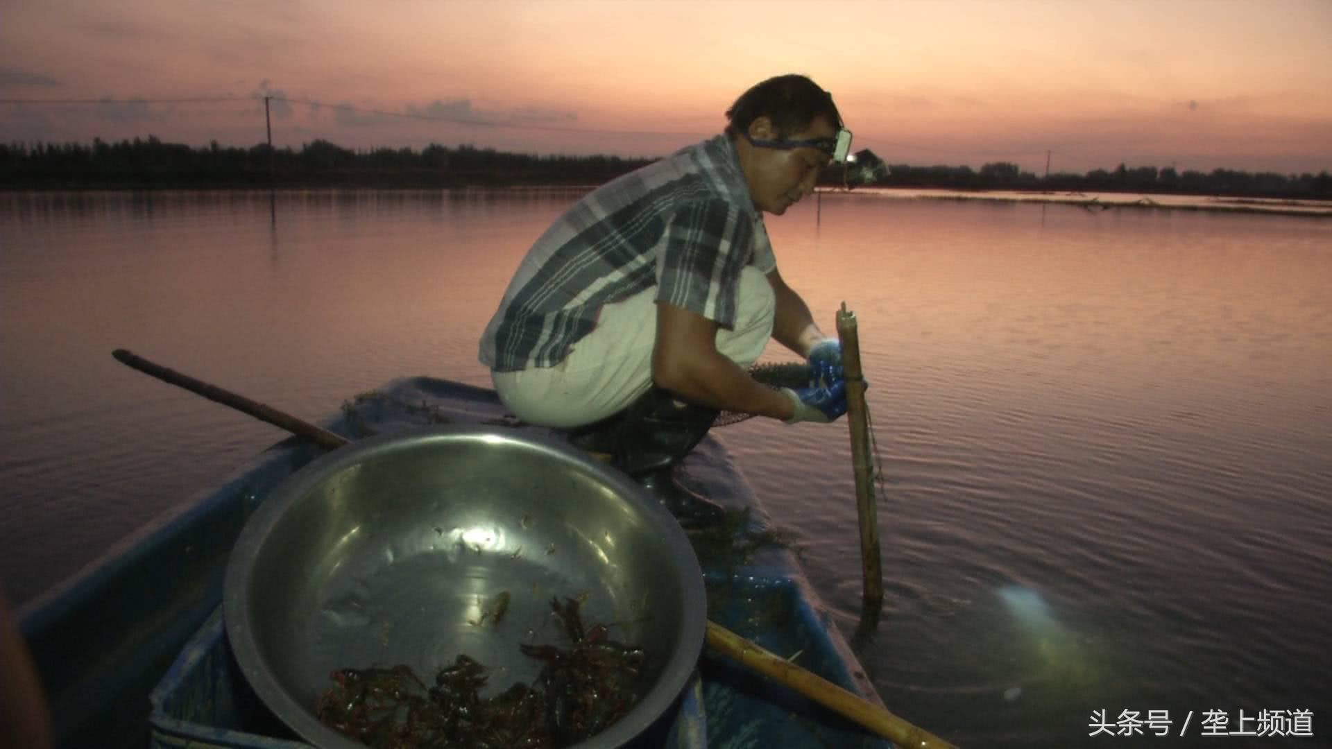 300斤小龙虾卖2小时卖完,爽吃5斤麻辣小龙虾