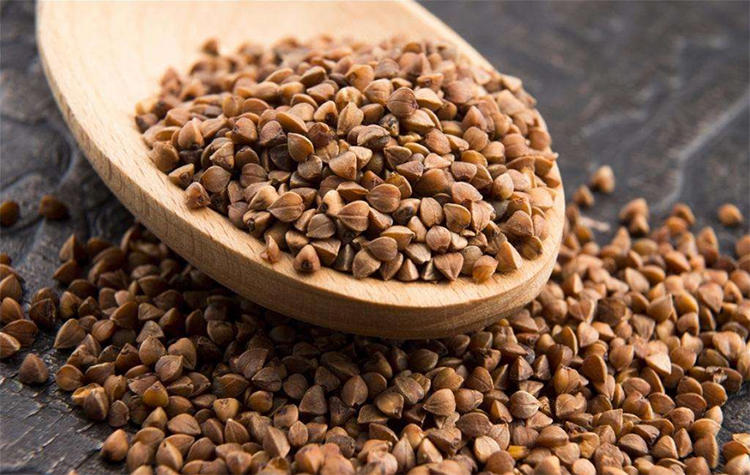 渣粮、品牌粮和自配粮，新手仓鼠粮的选择