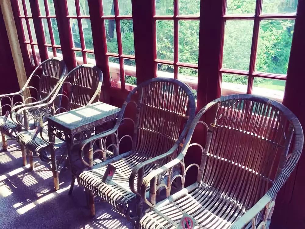 上海必去网红路,上海市闵行区浪漫的地方