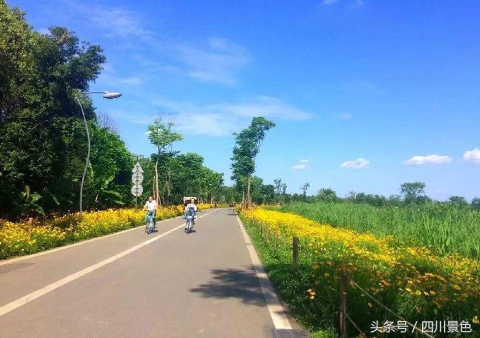 小众又免费！成都地铁直达的天然氧吧！清凉洗肺又解暑！