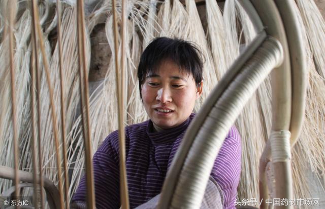 五个适合农村创业的好项目推荐,农村创业冷门项目有哪些行业