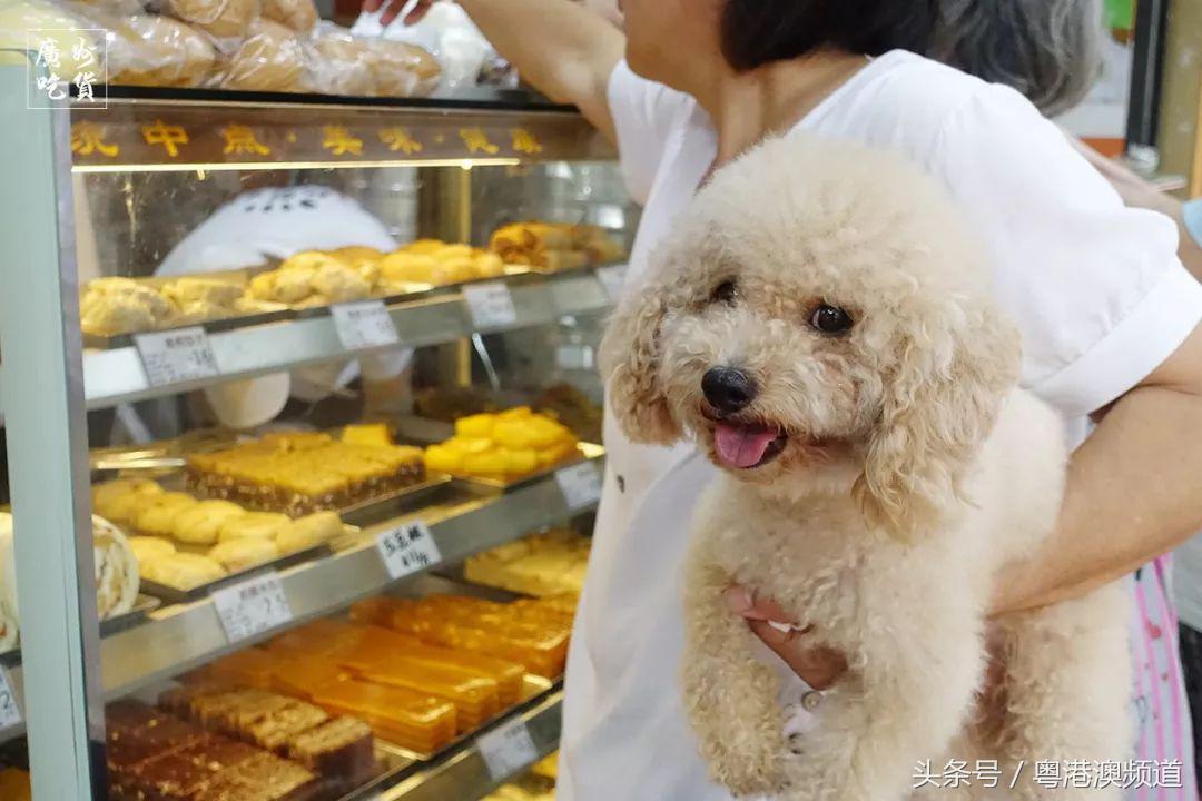 广州这条老街几乎都是老字号美食，人均10+很满足！