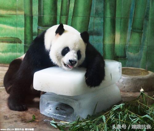 治痘痘避免日光和紫外线照射,研究紫外线对痘痘的影响