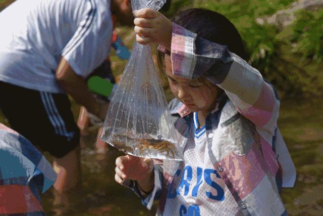 宜昌青龙峡第四届亲子漂流大赛实况回顾！你错过的精彩都在这里！