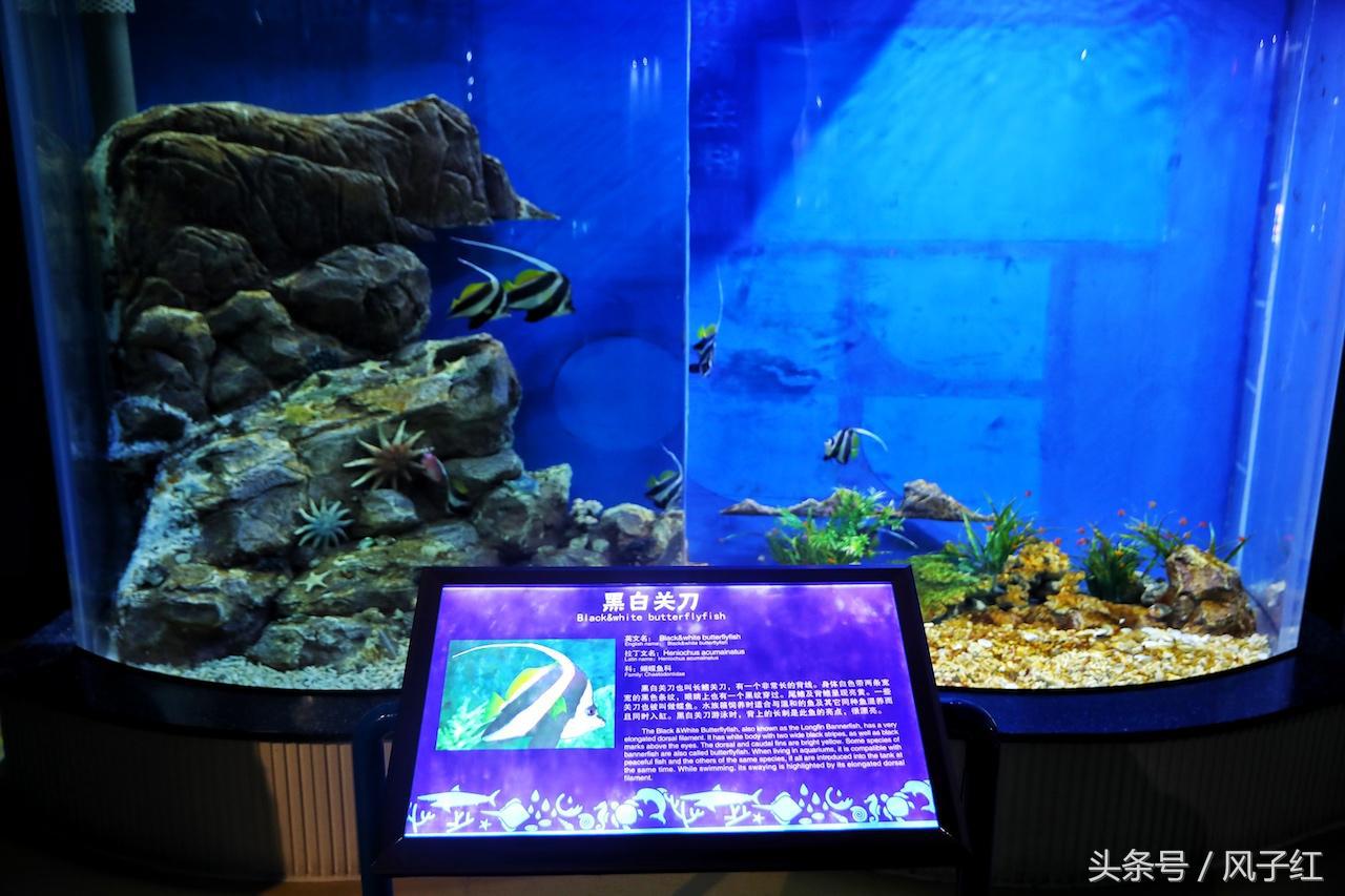 福州避暑网红景点前十名,福州夏天周边游景点推荐最新