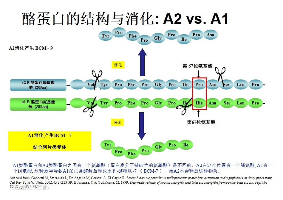 A*奶2**粉是什么？A*奶2**粉被罚款十万是什么原因？