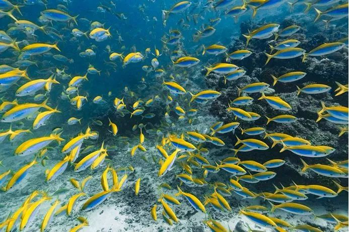 美到极致的自然风光摄影师大赛,自然之美第7集