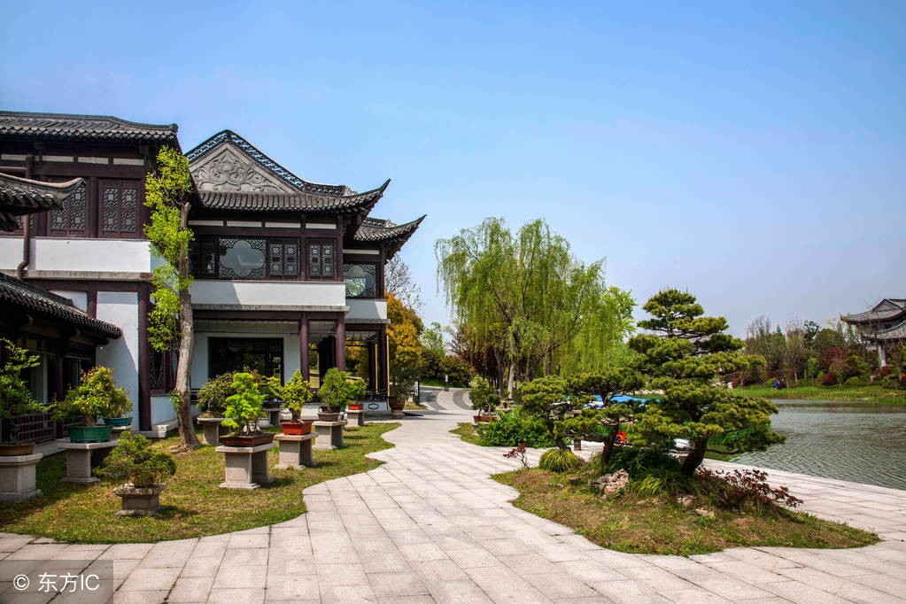 绝美优雅的盆景欣赏（太漂亮了，快分享给朋友吧！）