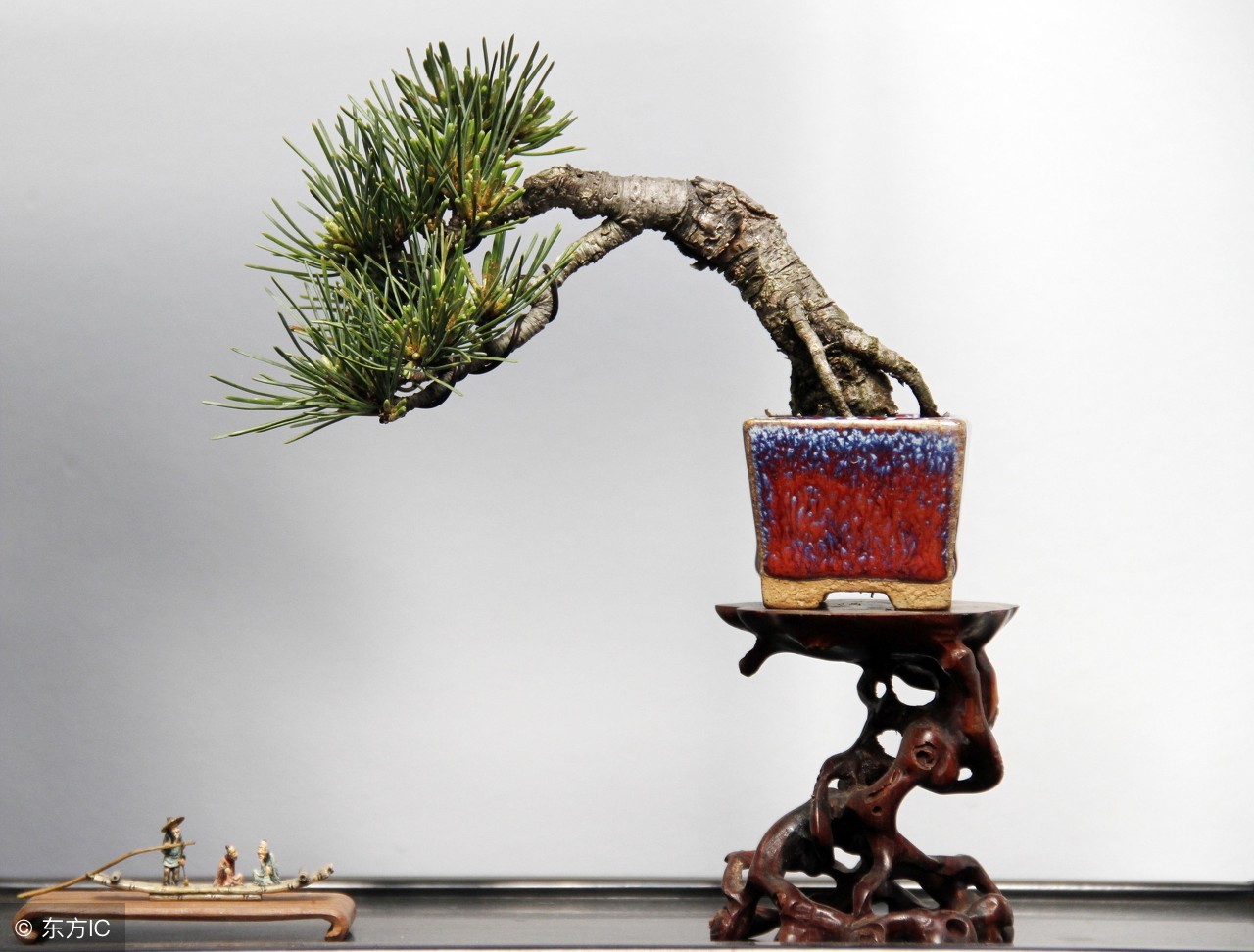 绝美优雅的盆景欣赏（太漂亮了，快分享给朋友吧！）