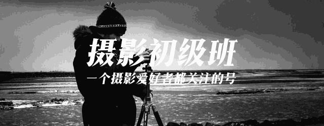 相片格式应该选raw还是jpg,照片选jpg还是png