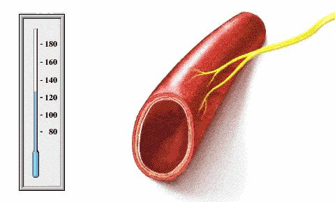 这五种食物比药毒不能吃,注意了这十种食物有毒不能吃