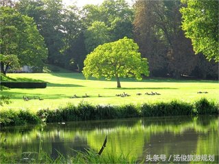 草坪景观设计,景观设计草坪如何做丰富