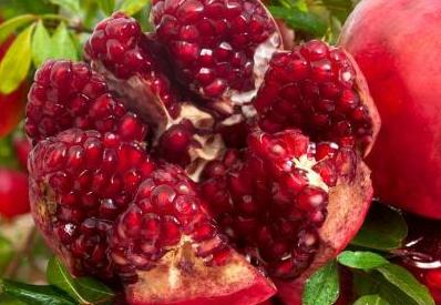 庭院石榴树的说法,红红火火多子多福石榴树