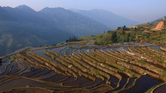 近期接喜接财的生肖,得福进财的三大生肖