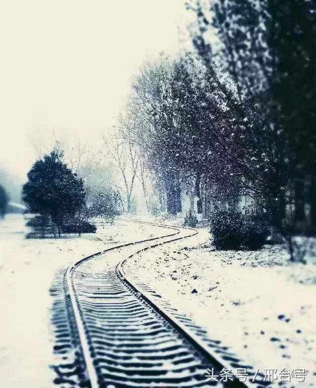 冶金厂六十年的记忆情怀！