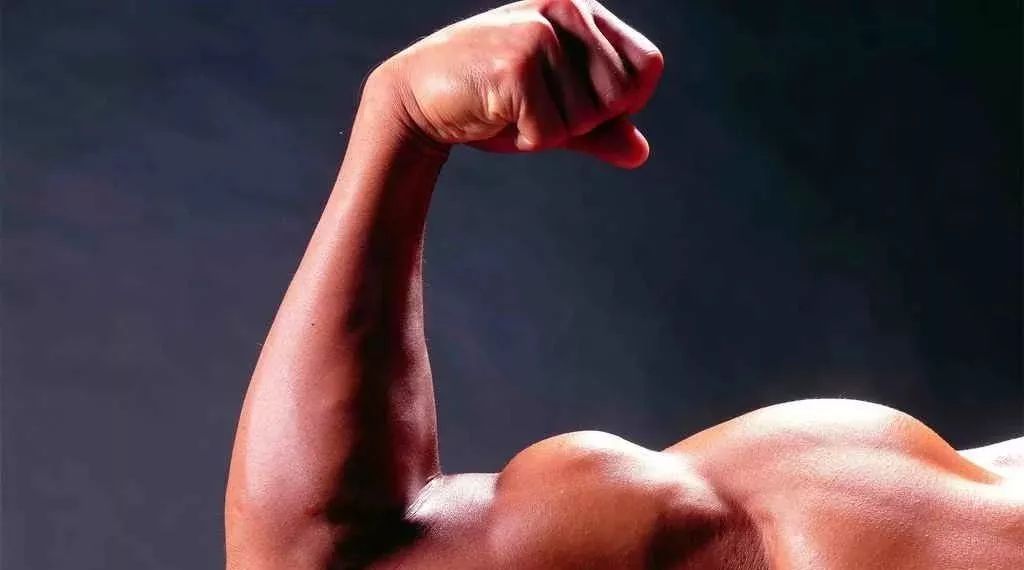 想要有滋补作用的海参要掌握三点,滋补身体用哪种海参比较好