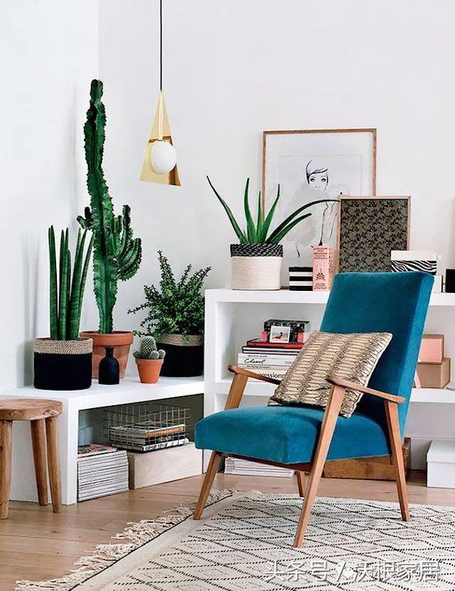 一天一个软装小技巧,屋里什么软装让人心情舒适