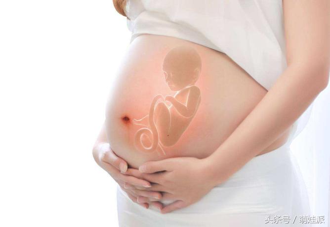 胎动常识100条,观察胎动是否符合正常胎动的标准