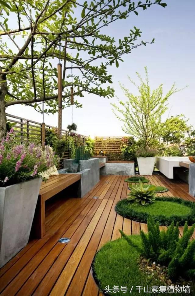 她用三年时间打造了一片露台花海,露台打造花海