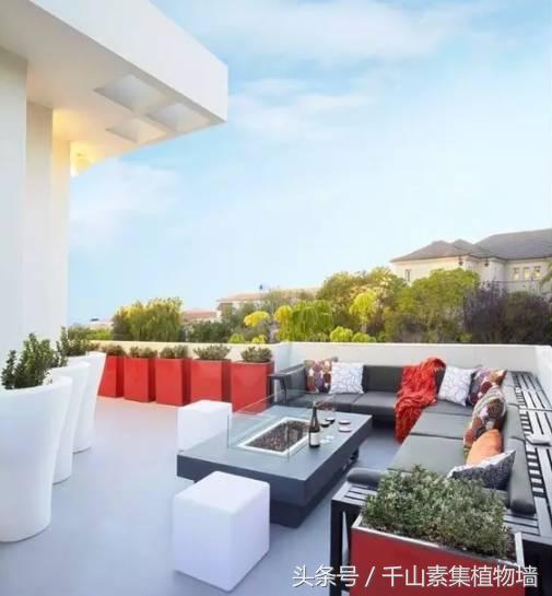 她用三年时间打造了一片露台花海,露台打造花海