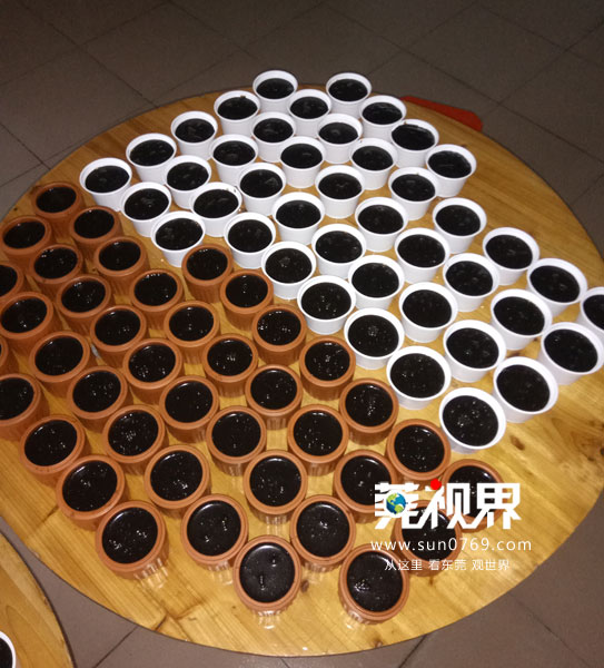 古法熬制的龟苓膏,润心堂古法龟苓膏