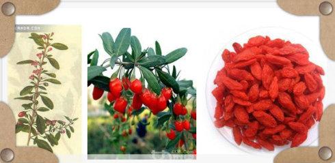 中医常用处方大全,中医常用的方剂及作用