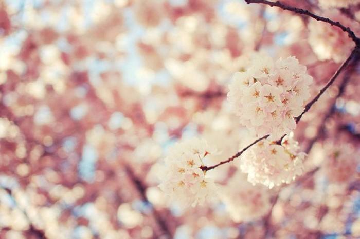 要不要吧！日语干货都在这里了！