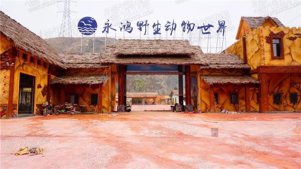 福清野生动物园游览车,福清野生动物园攻略