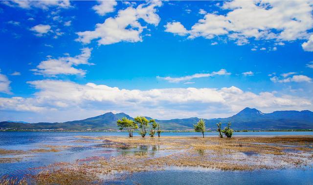 丽江拉市海骑马,丽江划船旅游攻略